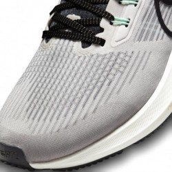 Chaussons Nike Pegasus 39 pour hommes