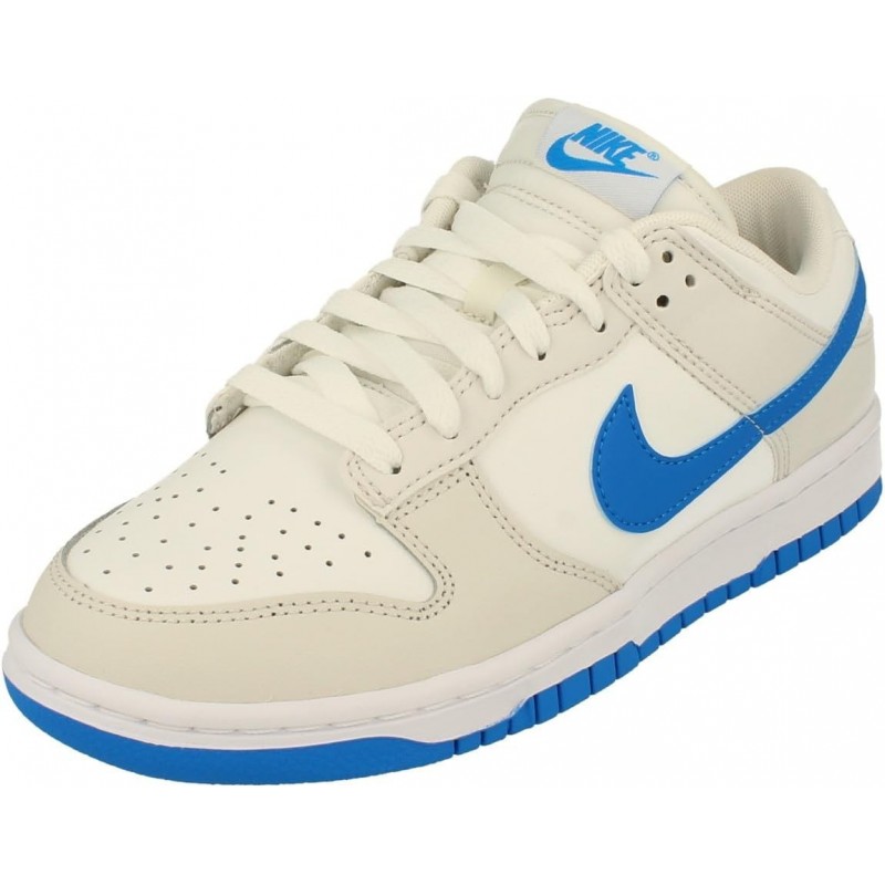 Baskets rétro Nike Dunk Low pour hommes