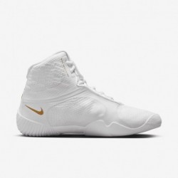 Chaussures de lutte Nike Tawa pour hommes (CI2952-171, blanc/blanc/blanc/or métallique)